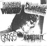 Amoebic Dysentery : Amoebic Dysentery - Dwarfophile - Gross - Necrobestiality